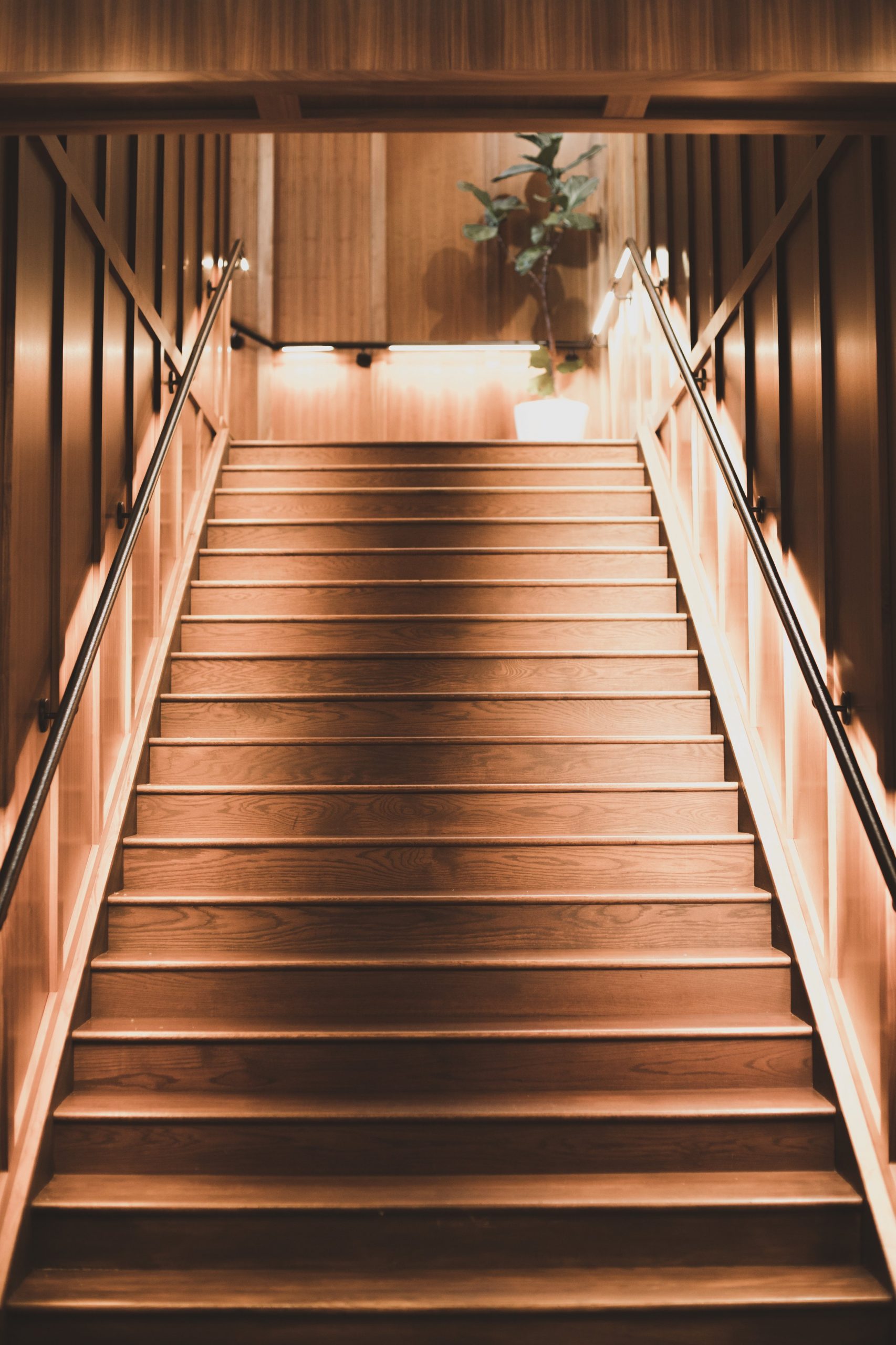 peering up a wooden staircase basked in light scaled